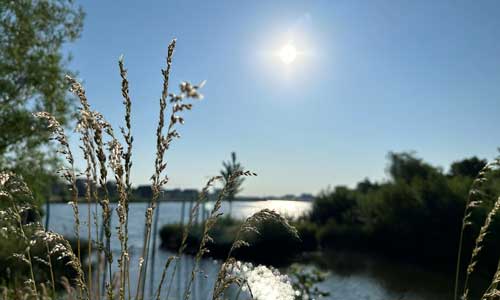 by Mees genieten aan het water